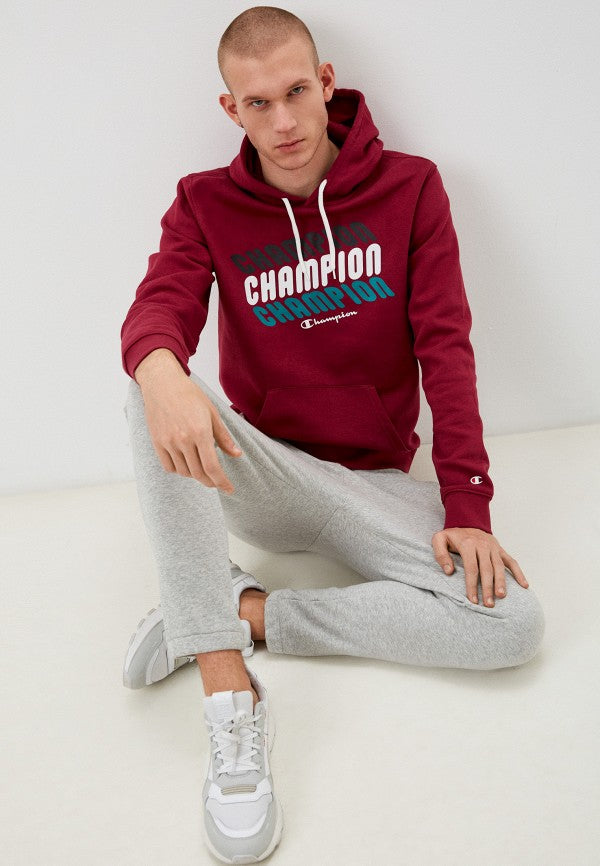 Champion Rochester graphic Hoodie