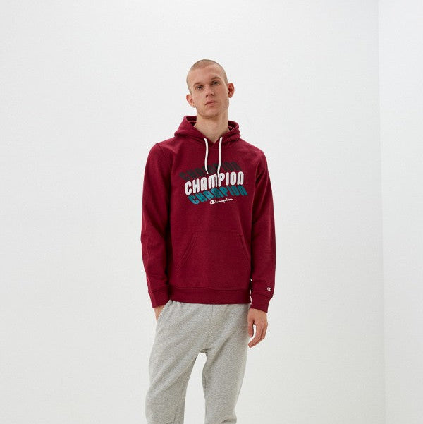 Champion Rochester graphic Hoodie